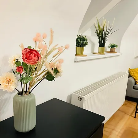 Central, Cozy & Stylish With Views * Prag